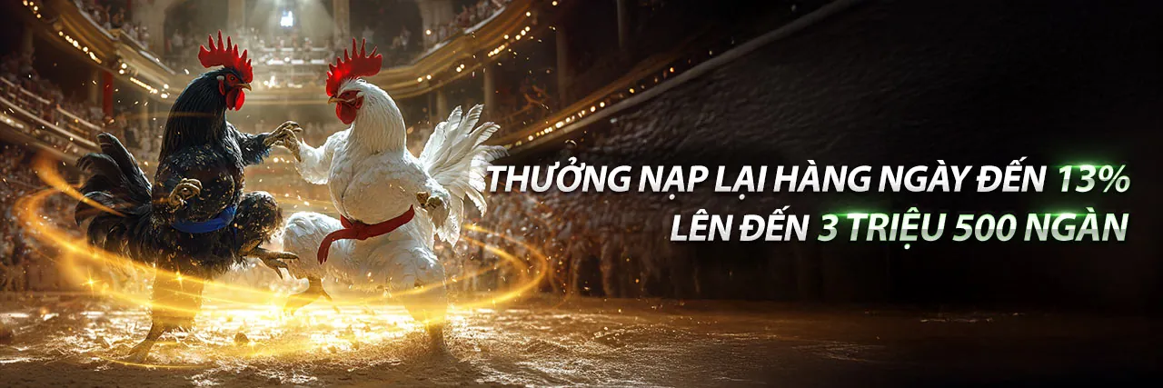 Kết Quả Đá Gà Hôm Nay tại Đá Gà 88 Thomo