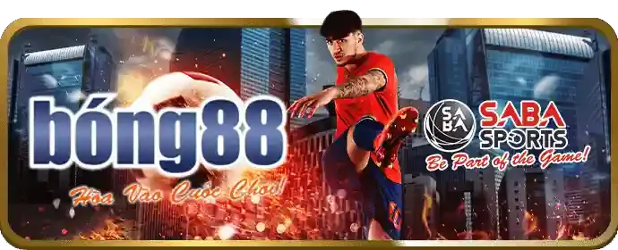Hỗ trợ khách hàng 24/7 của Đá Gà 88 Thomo